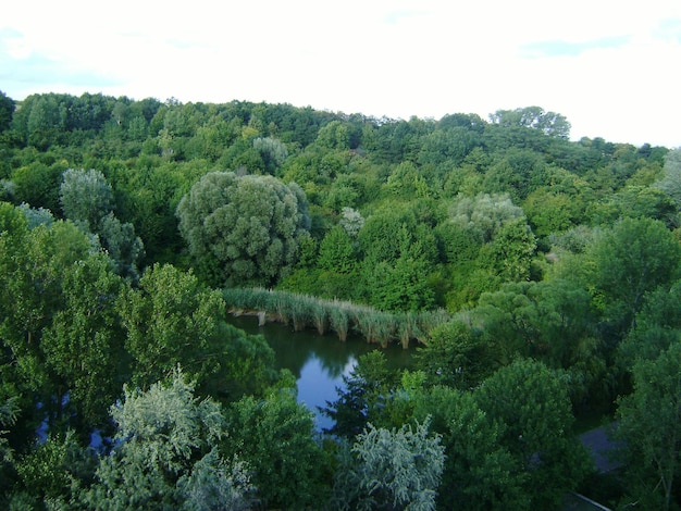 Photo scenic view of green landscape