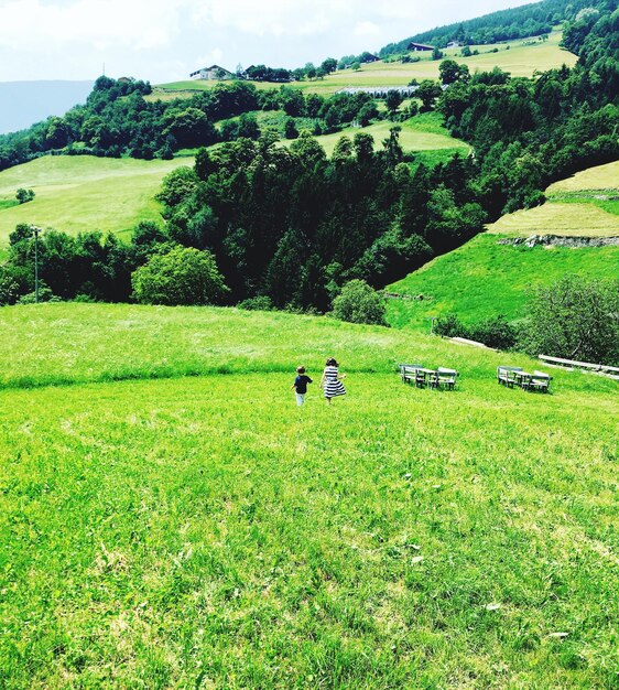 Foto vista panoramica del paesaggio verde