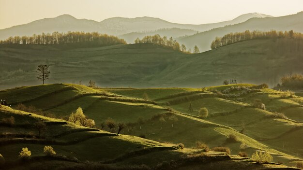 Foto vista panoramica del paesaggio verde