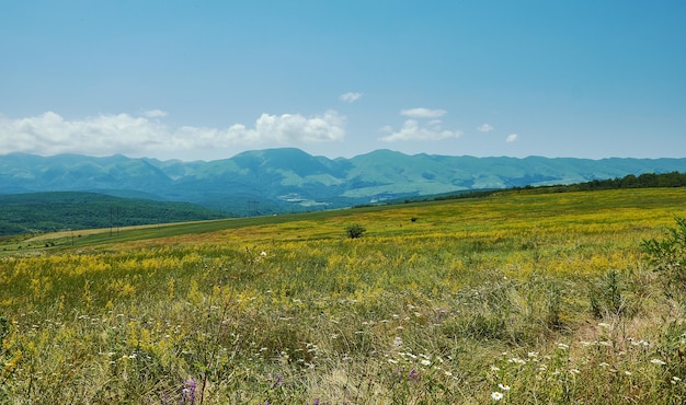 Scenic view of green meadows big mountain Dagestan