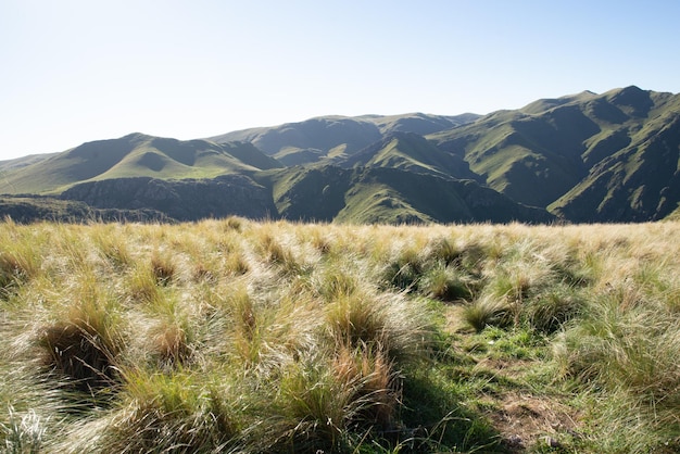 Photo scenic view of green mountain behind green meadow against clear skybackground concept