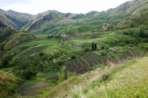 Photo scenic view of green mountains against sky