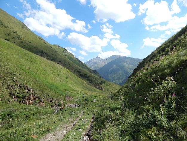 空の背景にある緑の山の景色