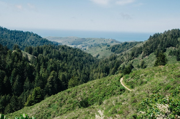 scenic view of green mountains
