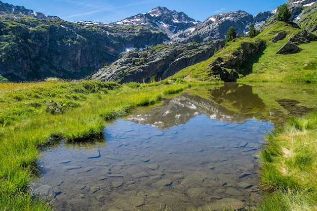 Foto la vista panoramica delle verdi montagne