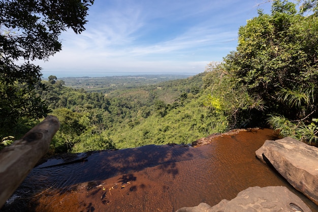 Scenic view on high forest.