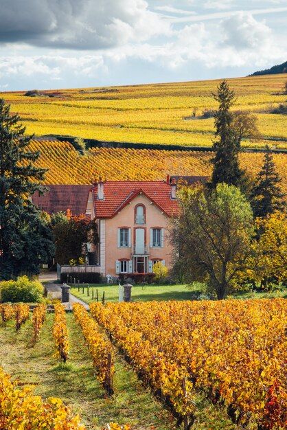 Foto la vista panoramica della casa in mezzo ai vigneti durante l'autunno