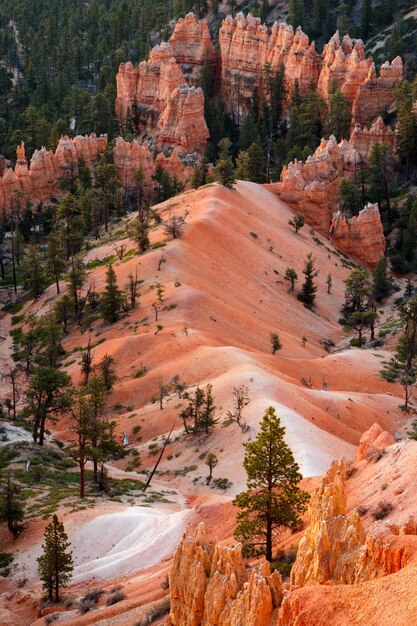 Foto vista panoramica nel bryce canyon southern utah