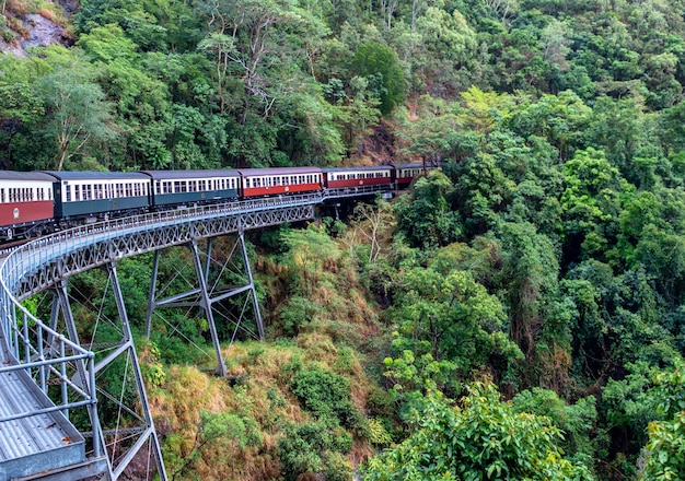 ケアンズ ノース クイーンズランド オーストラリアのキュランダ高原列車の景色