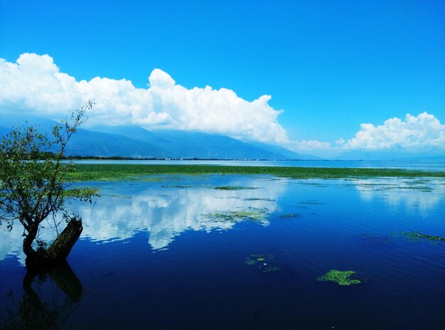 Scenic view of lake against blue sky