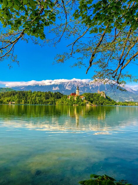 Scenic view of lake against blue sky