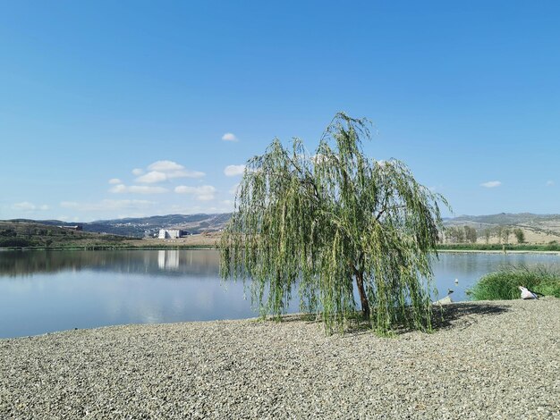 Scenic view of lake against blue sky