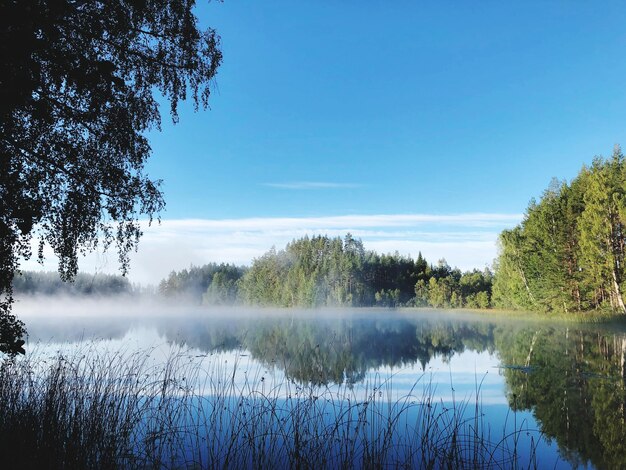 Scenic view of lake against blue sky