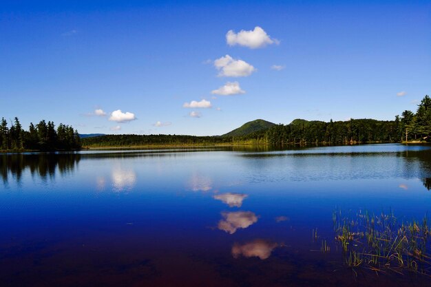 Scenic view of lake against blue sky