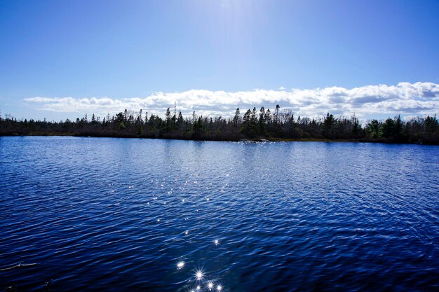 Photo scenic view of lake against blue sky