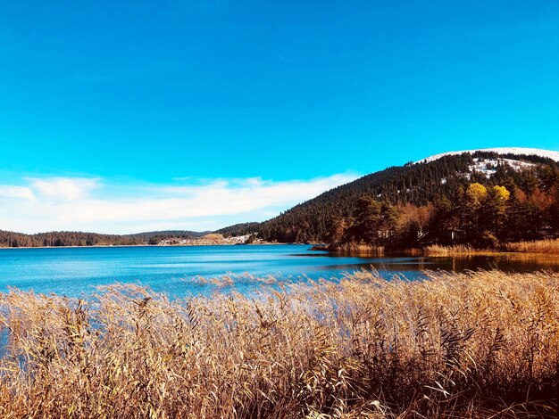 Scenic view of lake against blue sky