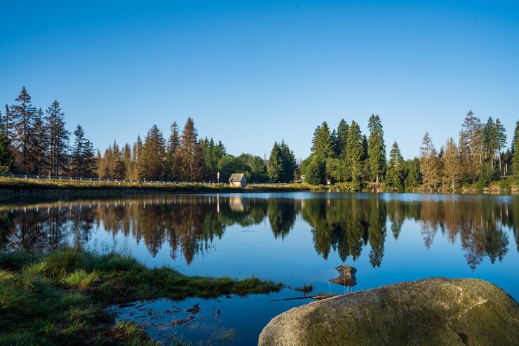 Photo ハルツ国立公園の澄んだ青い空の背景にある湖の景色