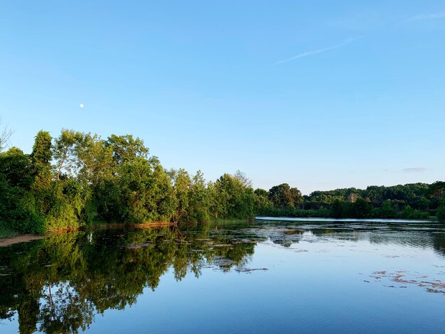 Scenic view of lake against clear blue sky