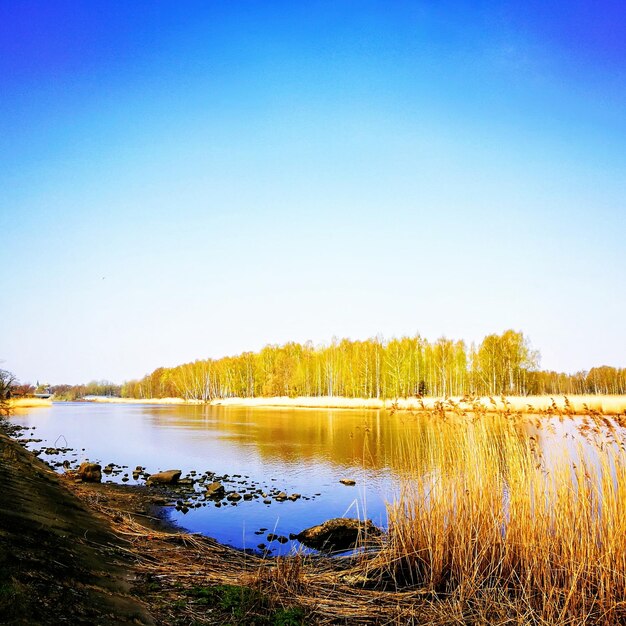 Scenic view of lake against clear blue sky