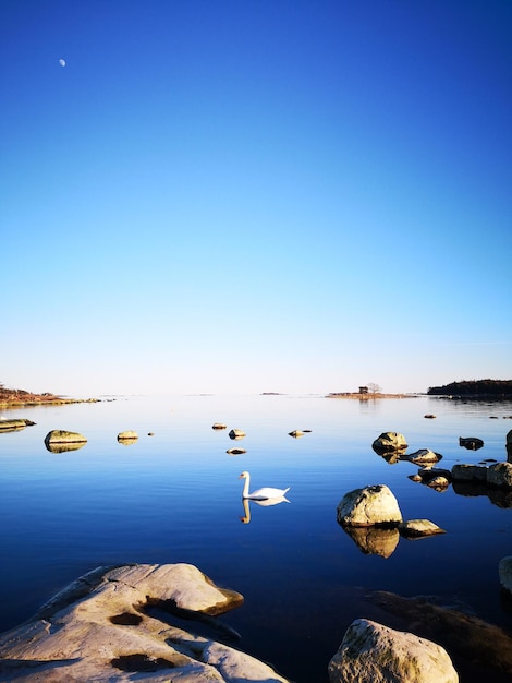 Foto vista panoramica del lago contro un cielo blu limpido