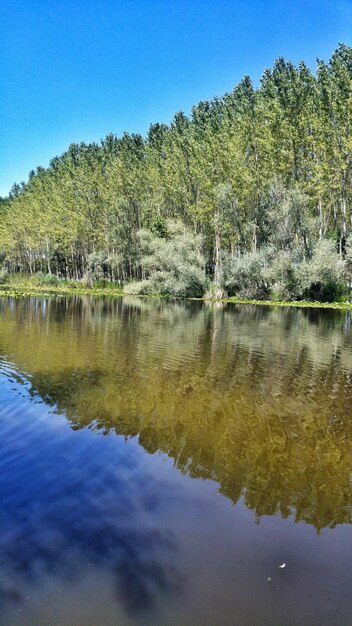 Scenic view of lake against clear blue sky