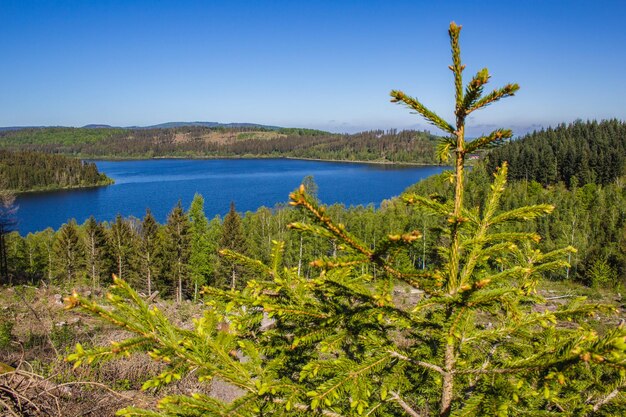Vista panoramica del lago contro un cielo blu limpido