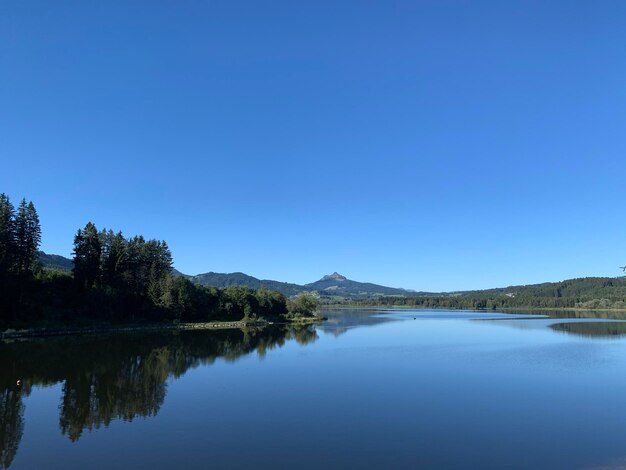 Scenic view of lake against clear blue sky