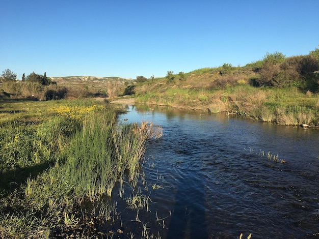 Foto vista panoramica del lago contro un cielo blu limpido