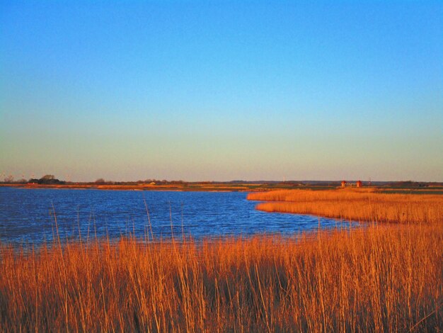 Scenic view of lake against clear blue sky