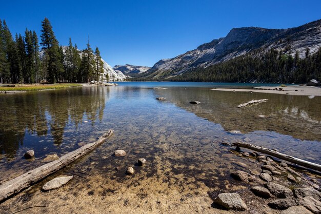 Photo scenic view of lake against clear blue sky