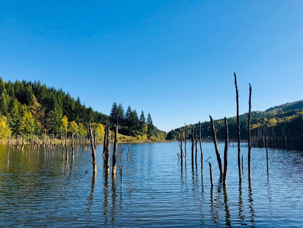 Scenic view of lake against clear blue sky