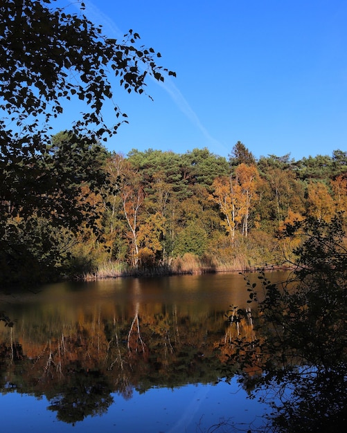 Foto vista panoramica del lago contro un cielo blu limpido