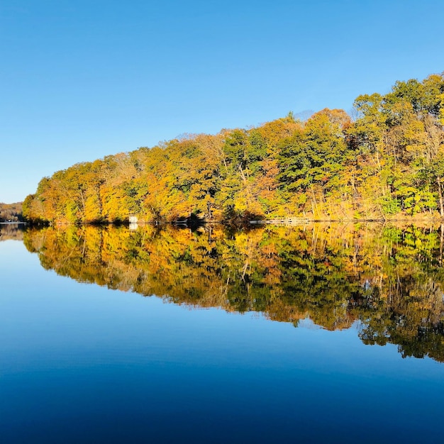 Scenic view of lake against clear blue sky