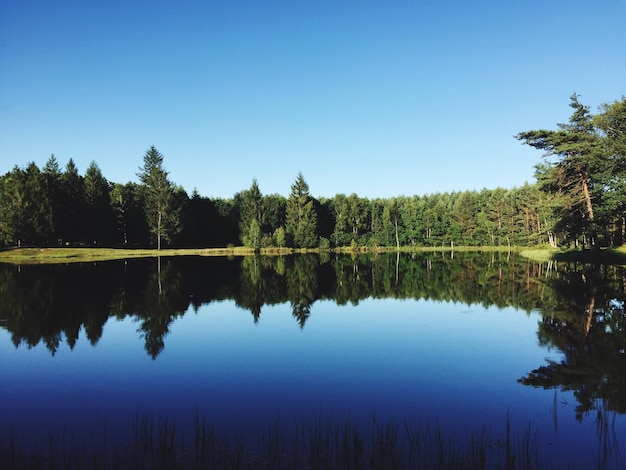 Photo scenic view of lake against clear blue sky