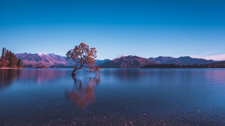 Photo 澄んだ青い空に照らされた湖の景色