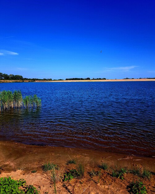 Scenic view of lake against clear blue sky