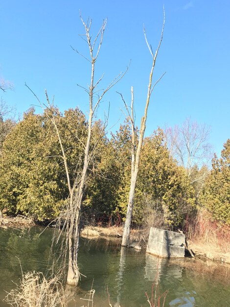 Scenic view of lake against clear blue sky