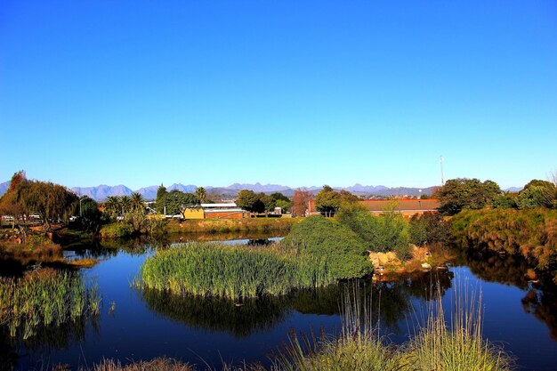 Scenic view of lake against clear blue sky