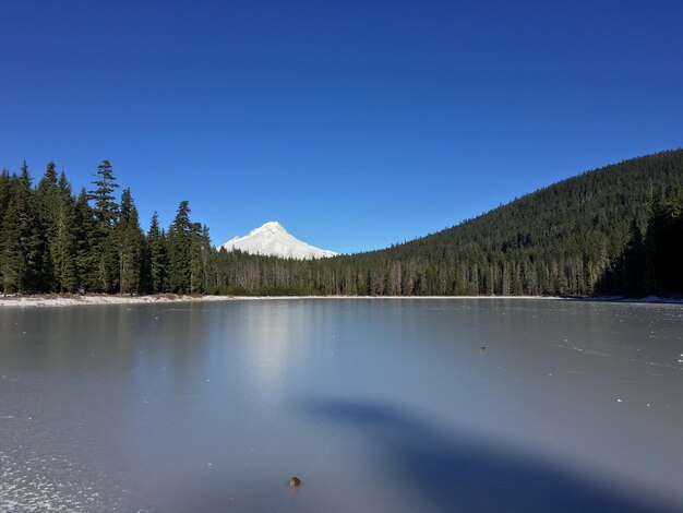 Scenic view of lake against clear blue sky