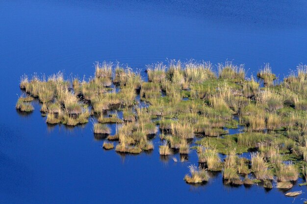 Scenic view of lake against clear blue sky