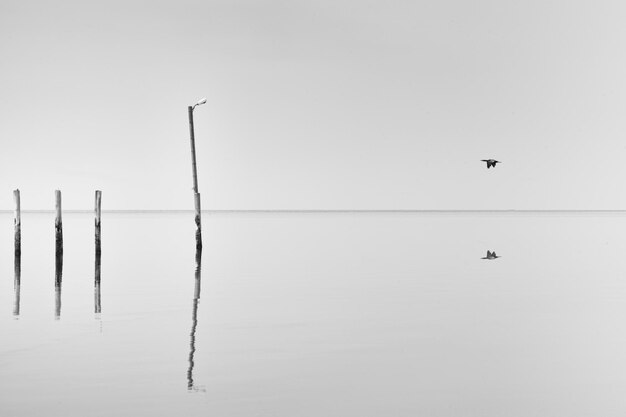 Scenic view of lake against clear sky