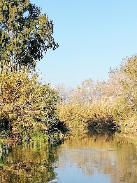 Scenic view of lake against clear sky