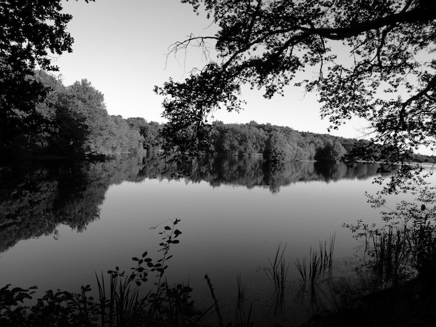 Photo scenic view of lake against clear sky