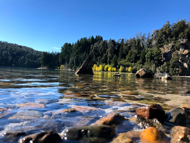 Scenic view of lake against clear sky