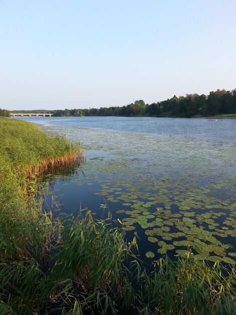 Scenic view of lake against clear sky