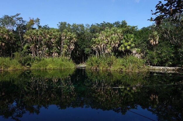 Foto vista panoramica del lago contro un cielo limpido