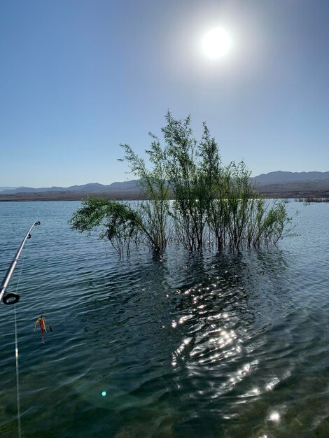 Scenic view of lake against clear sky