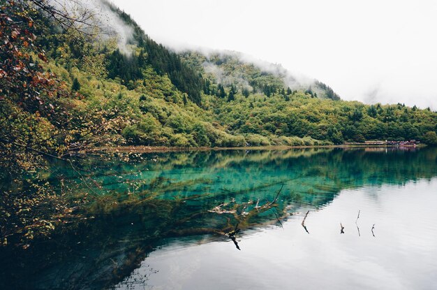 Scenic view of lake against clear sky