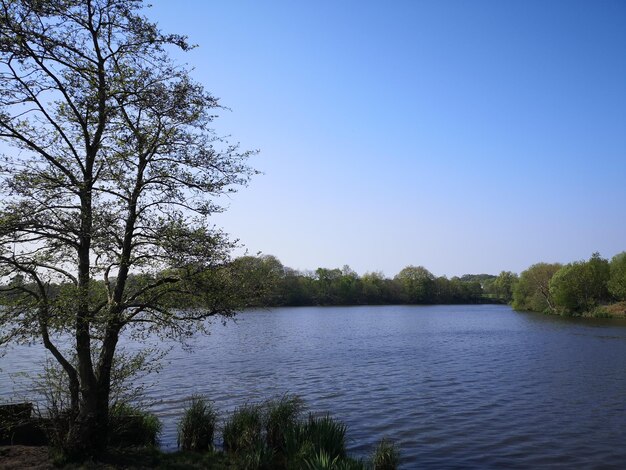 Scenic view of lake against clear sky