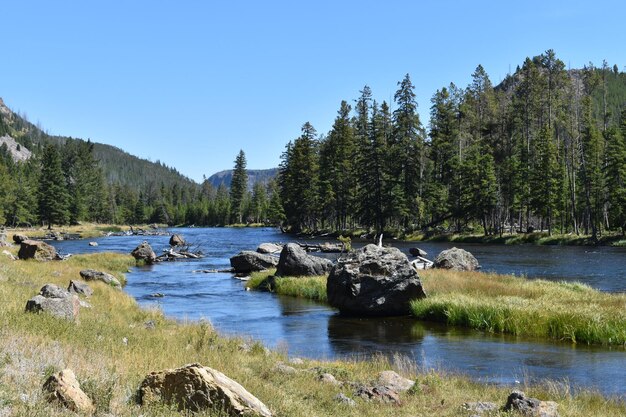 Photo scenic view of lake against clear sky